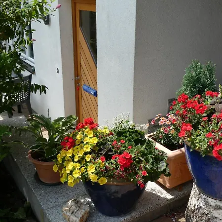 Apartment Mattenweg 1a Hinterzarten