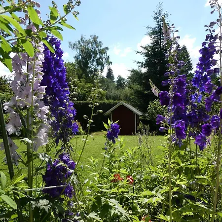 Mattenweg 1a Daire Hinterzarten