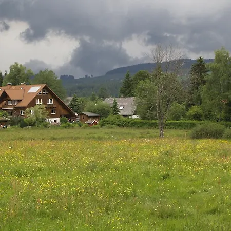 Mattenweg 1a Hinterzarten