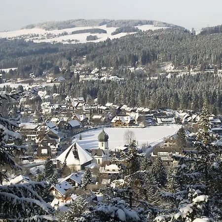 Apartment Mattenweg 1a Hinterzarten