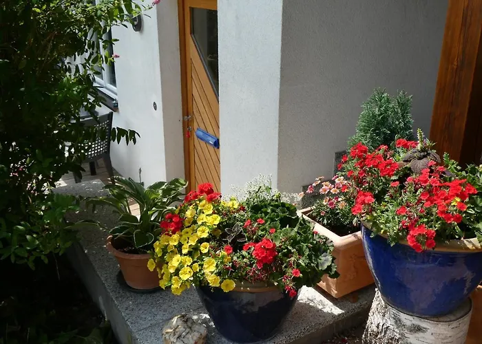 公寓 Mattenweg 1a 欣特察尔滕