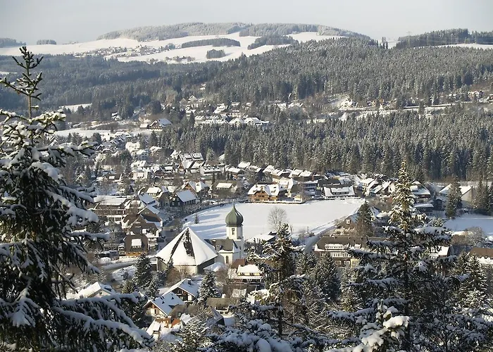 公寓 Mattenweg 1a 欣特察尔滕